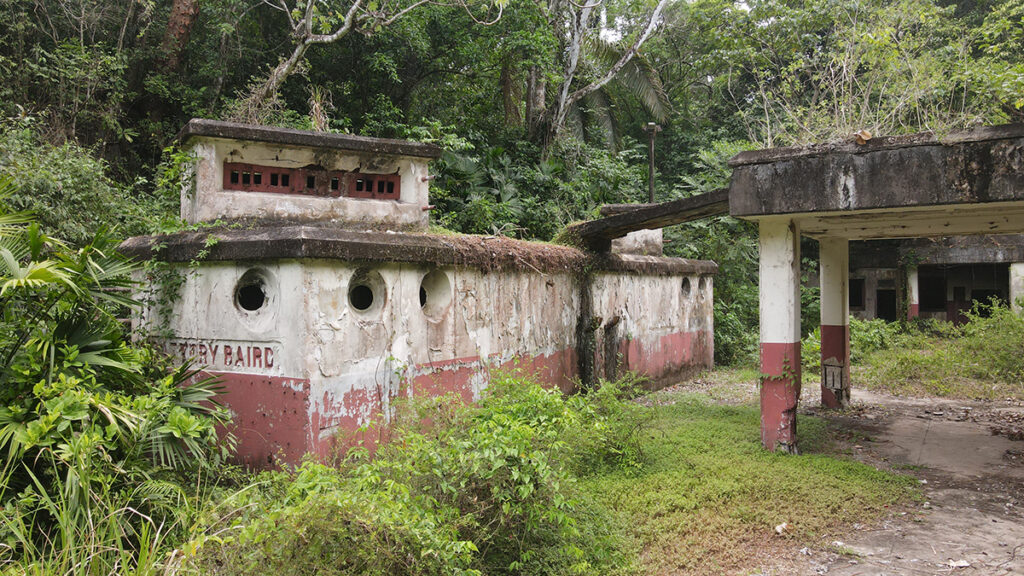 Battery Baird