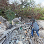 Live Island Transmission